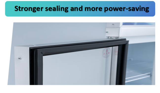 910L 220V 2 Door Glass Door Freezer Convenient Double Door Display Freezer
