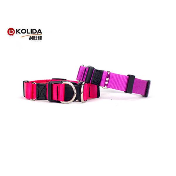 Personalized Nylon Dog Collars Custom Double D Ring Release Buckle C605