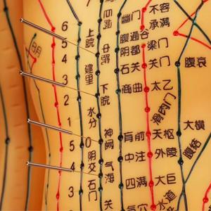China Acupuncture Needles Practice Model For Safe And Precise Training wholesale