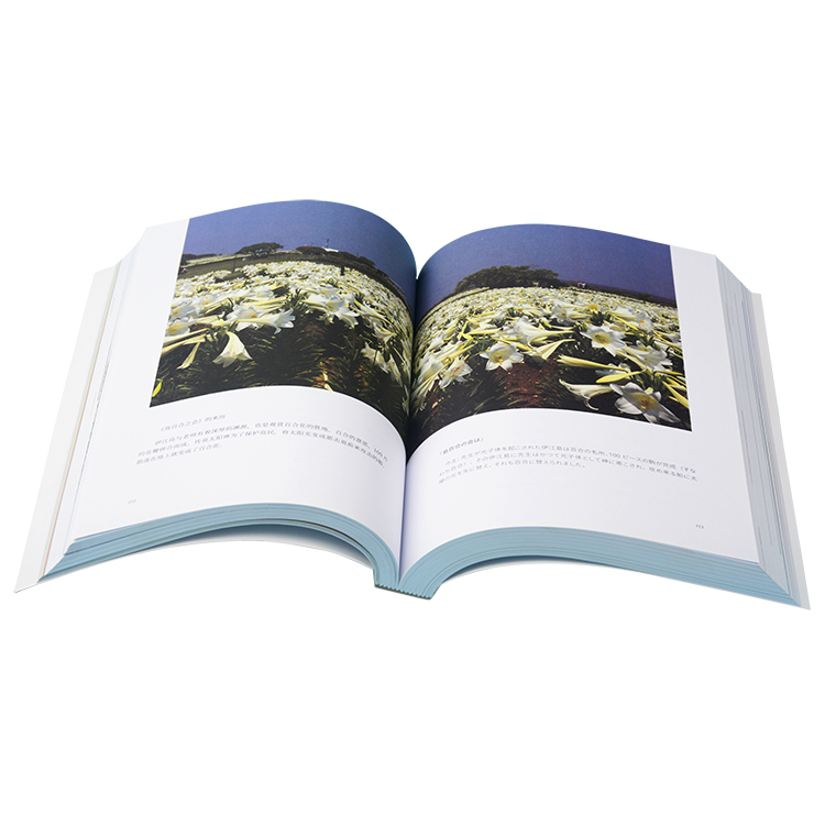 Glossy / Matt Finish Soft Cover Book Printing , Poem Print Your Own Poetry Book