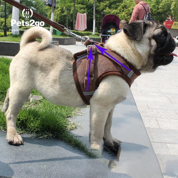 Trendy Dog Harness Dog Climbing Harness Designer Dog Harness And Leash S For Small And Medium Dogs By Best Pet Supplies