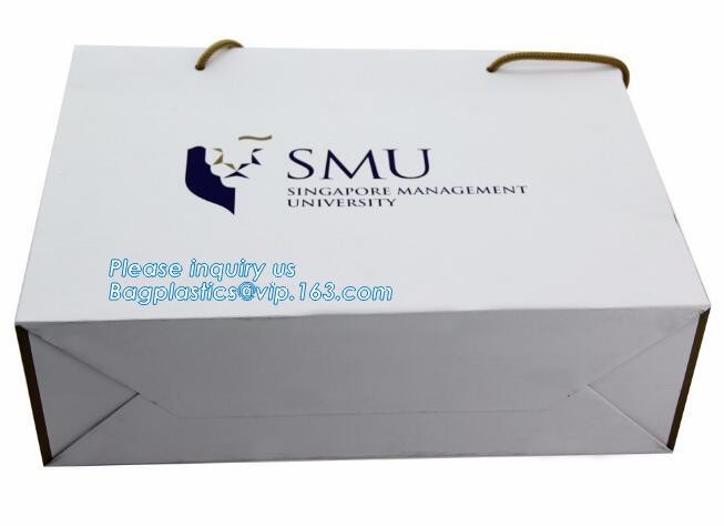 Custom paper bag with handle coated white paper bag printing pattern flower carrier bag,Flower carrier paper bags with d