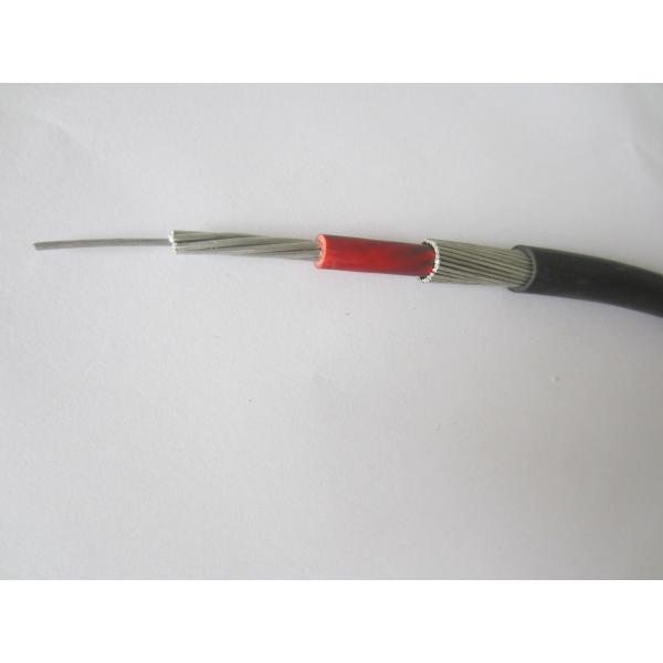 PVC / PE Sheath CNE SNE Concentric Cable / Low Voltage Armored Cable