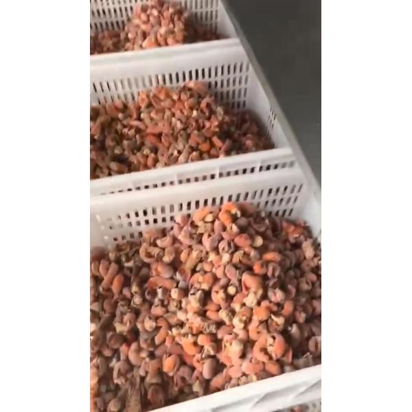 300KG/H Fluidized Seafood Food Freezing Machine Tunnel Type