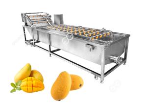 China Sterilization And Disinfection Mango Washing Machine Fruit Washing Machine Factory on sale
