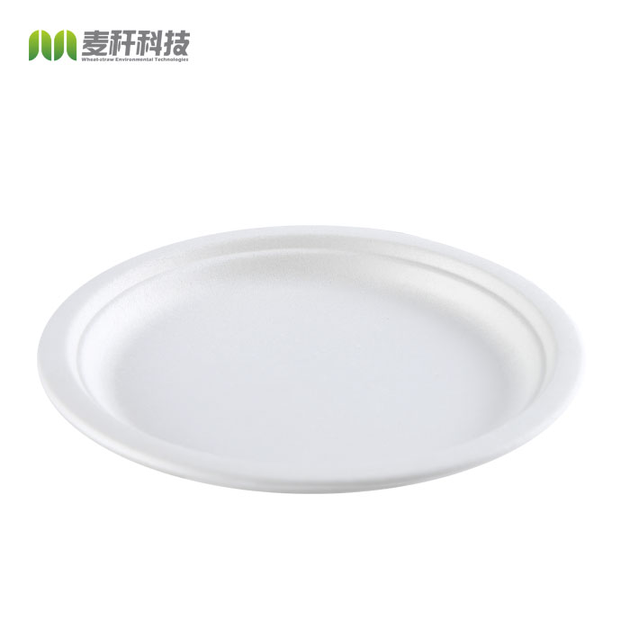 Custom eco friendly round party paper plate 9 inch biodegradable disposable sugarcane bagasse plate