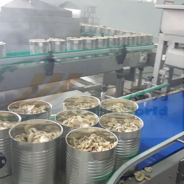 Custom Mushroom Canned Food Production Line Automatic Machines