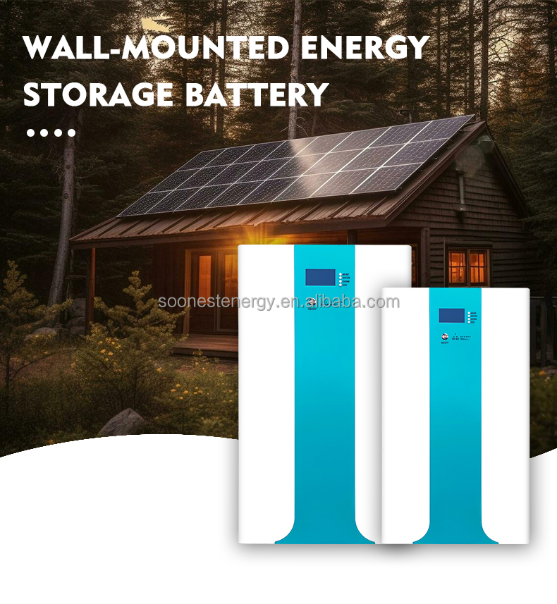 Soonest 10Kwh Home Energy Storage Lithium Battery Rack Mount Solar Battery Cell Lithium Ion Solar Storage Battery Lifepo4