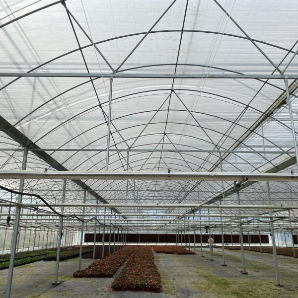 Vegetables Tunnel Plastic Commercial Large Multispan Greenhouse