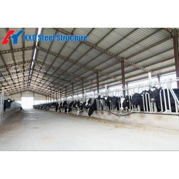 Steel Structure Prefab Poultry House Wind Resistant Pre Engineered Steel Cowshed