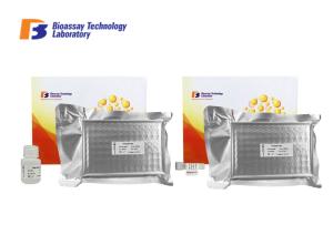 China OXTR Sandwich Enzyme Linked Immunosorbent Assay Test Kit For Research wholesale