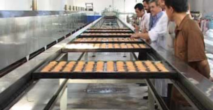 PD800 Cup Cake Custard Muffin Madeline Cake Production Line Cup Cake Making Machine Cup Cake Bakery Equipment Machinery