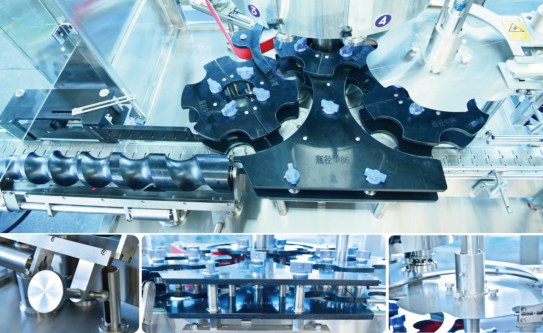 6 Head 80ml-1000ml Automatic Capping Machine rotary packaging machine