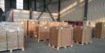 offset print Thermal Double Layer Processless Printing Plates min size 400x300mm