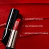 Waterproof Private Label Matte Lipstick 30 Colors Logo Acceptable for sale