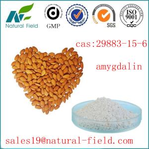 China top quality of almond extract amygdalin at less price wholesale