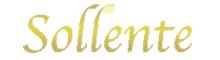 China Sollente Opto-Electronic Technology Co., Ltd logo