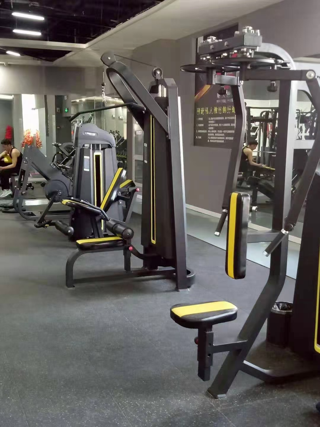 Home T Bar Row Commercial Plate Loaded Arms Back Workout Incline Level