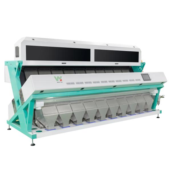 Quality 5400 Million Pixels Vegetable Sorting Machine High Capacity For Dried Onion for sale