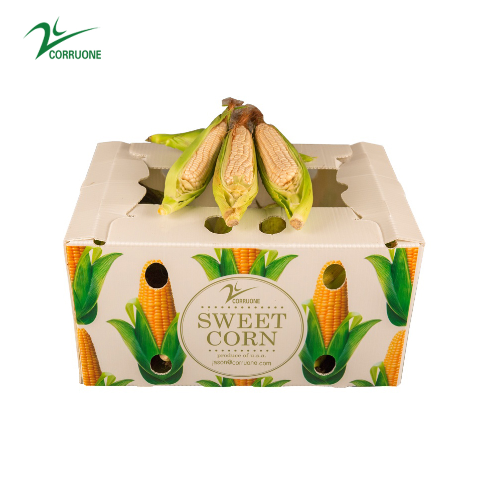 Asparagus Corrugated Plastic Produce Boxes Food Grade Black White