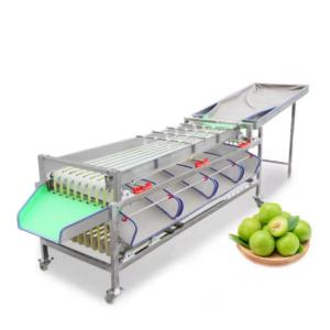 China Hotels Benefit From Fruit Weight Selecting And Automatic Fruit Size Grader For Fruit Vegetable Processing Machine wholesale