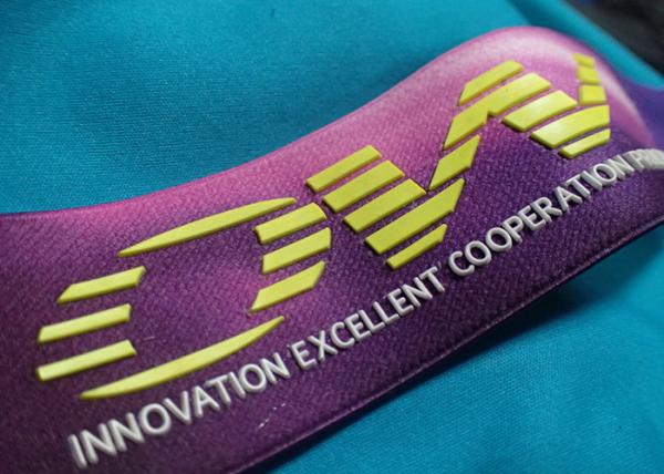 Quality Custom 20mm 100% Polyester Webbing Tape For Garment / Pant for sale