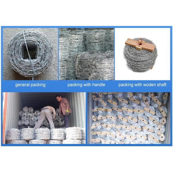 100mm Stainless Steel Barbed Wire