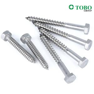 China DIN571 Carbon Steel Zinc Plated Hex Wood Screw Coach Screw Hex Lag Screw Bolts Fastener on sale China DIN571 Carbon Steel Zinc Plated Hex Wood Screw Coach Screw Hex Lag Screw Bolts Fastener on sale