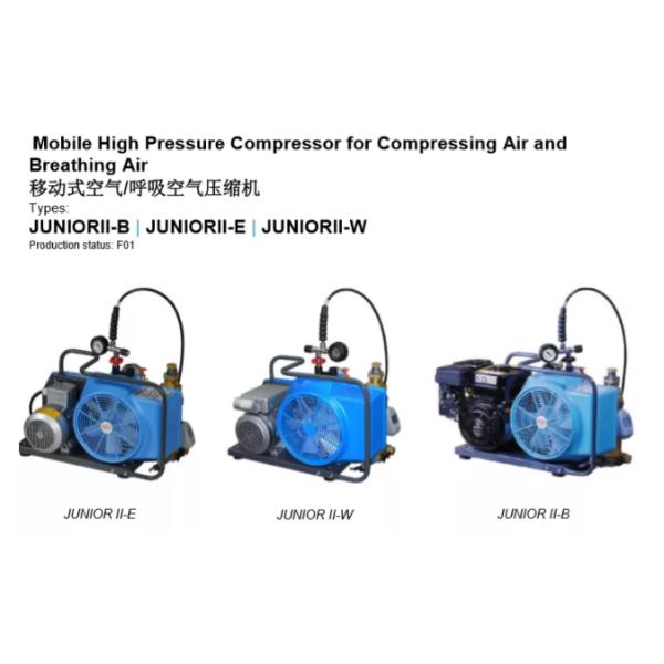 High Pressure Electric Breathing Air Compressor Portable For SCBA Refilling
