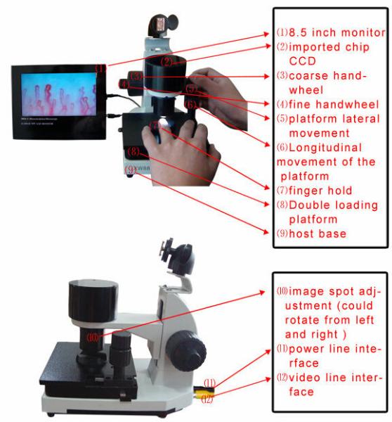 Quality High Accuracy Nail Folding Microcirculation Microscope with High Definition Video Screen 8 inch for sale