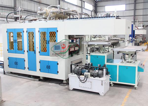 Quality Automatic Virgin Pulp Molding Equipment for Paper Cup / Dishware Production Line for sale