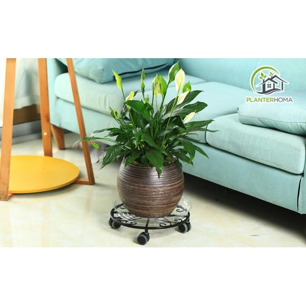 Indoor and Outdoor Plant Dolly Rolling Stand for 10.2 and 12 Inch Pots Perfect for Office