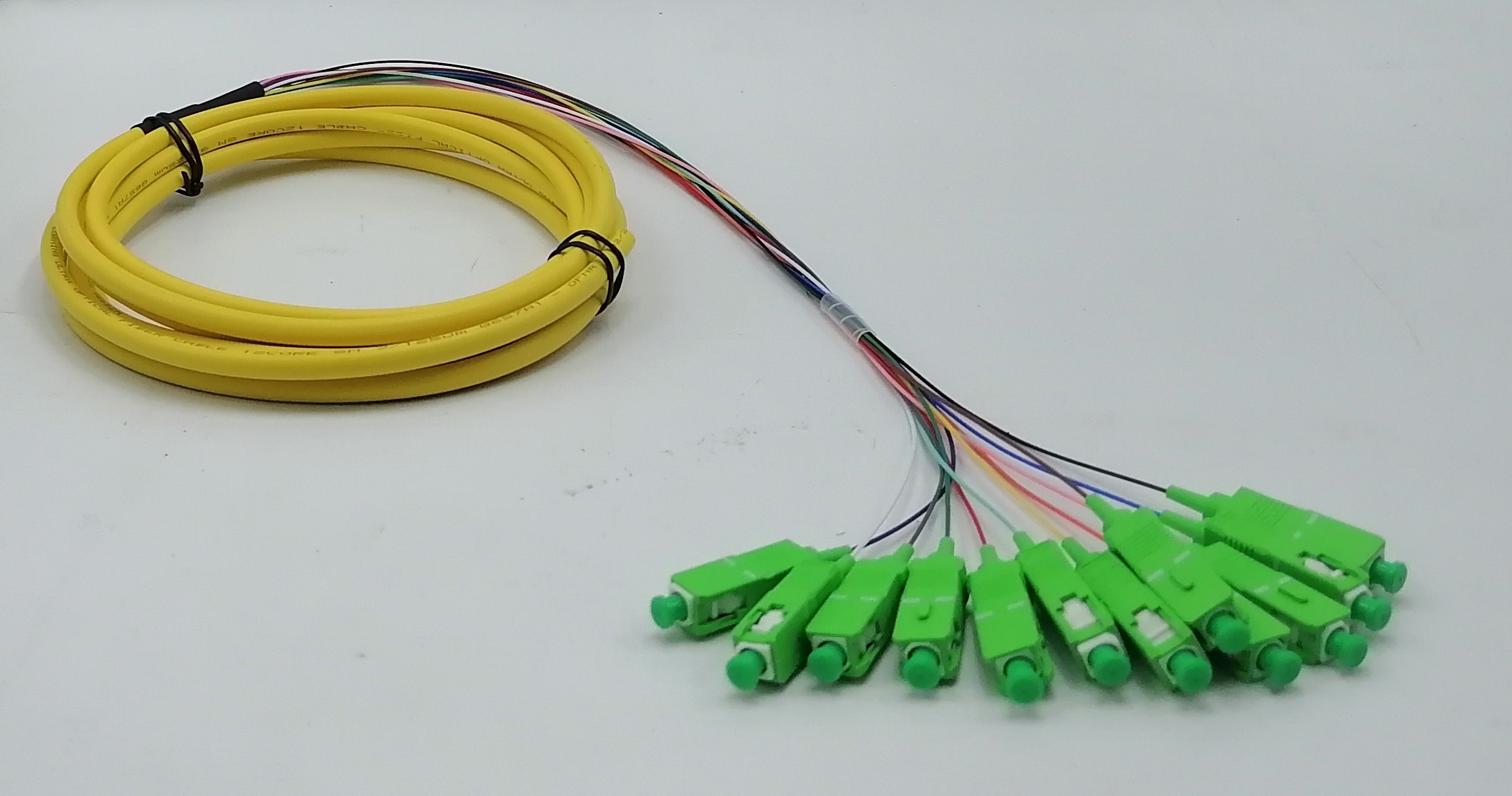 1.5M SC/APC 12 fiber optic fanout pigtails OS2 Single Mode G657A2 Bend Insensitive Riser (OFNR) 0.9mm Yellow