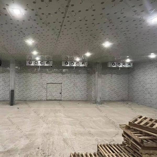 Quality Customization Cold Room Walk In Freezer For Cooling System Refrigeration cooler for sale