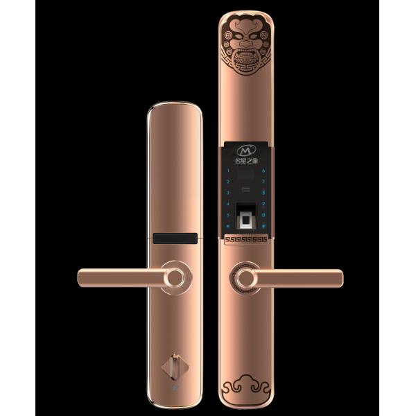 Fingerprint lock_smart lock_hotel lock_apartment door lock_electronic code lock_home of famous stars