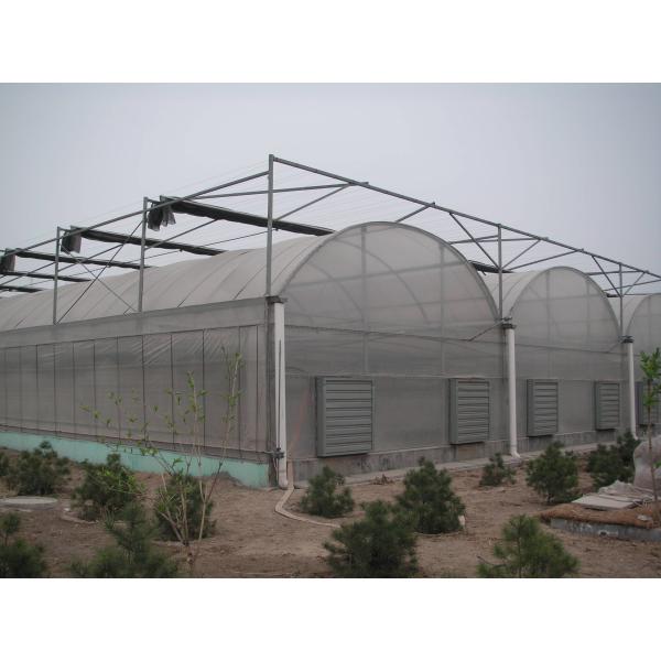 Multi Span Polyethylene Plastic Sheeting Greenhouse Arched Roof Top Height 4.0-8.0m