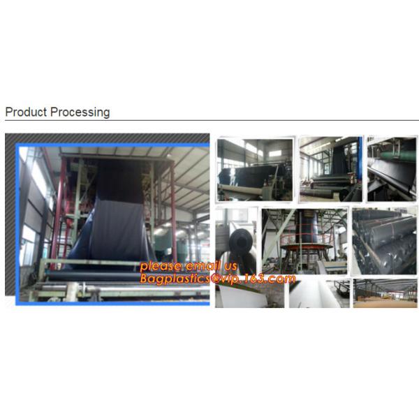 Eco-Friendly Hdpe Geomembrane Liner Geomembrane Price,Eco-Friendly Hdpe Geomembrane Liner Waterproofing Membranes BAGEAS