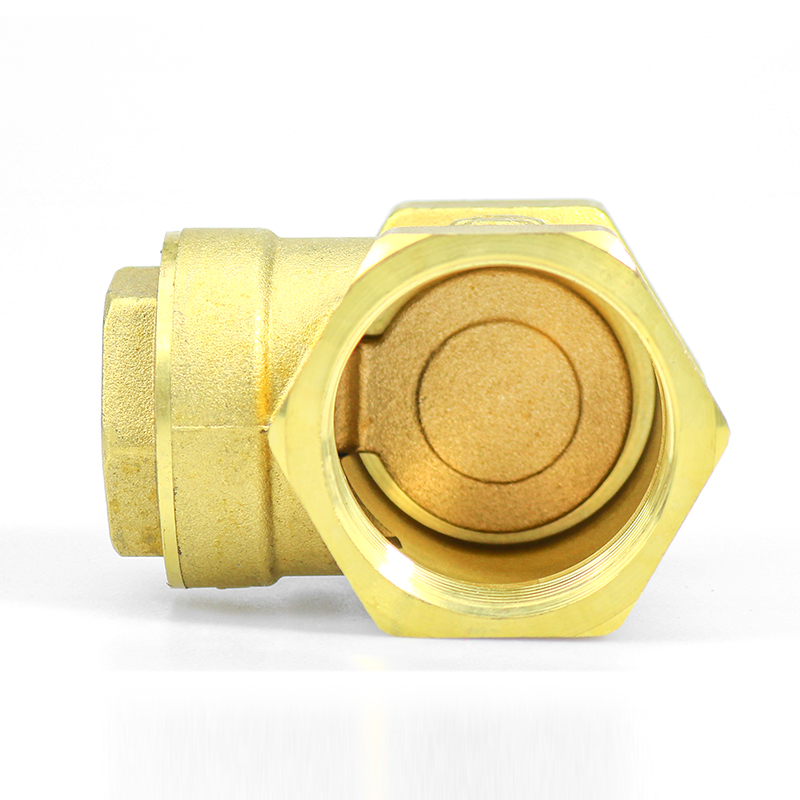 DN25 DN15-DN50 Non Return One Way Check Valve Port Size Customized