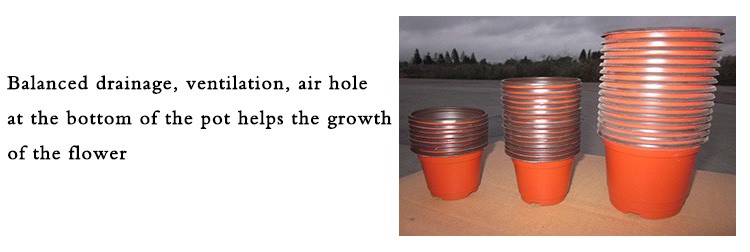 good quality plastic PP hot pepper/Chilly flower pot in low price