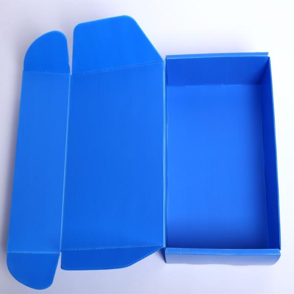 Collapsible Corrugated Plastic Storage Boxes With Lid , Flute Corrugated Polypropylene Boxes