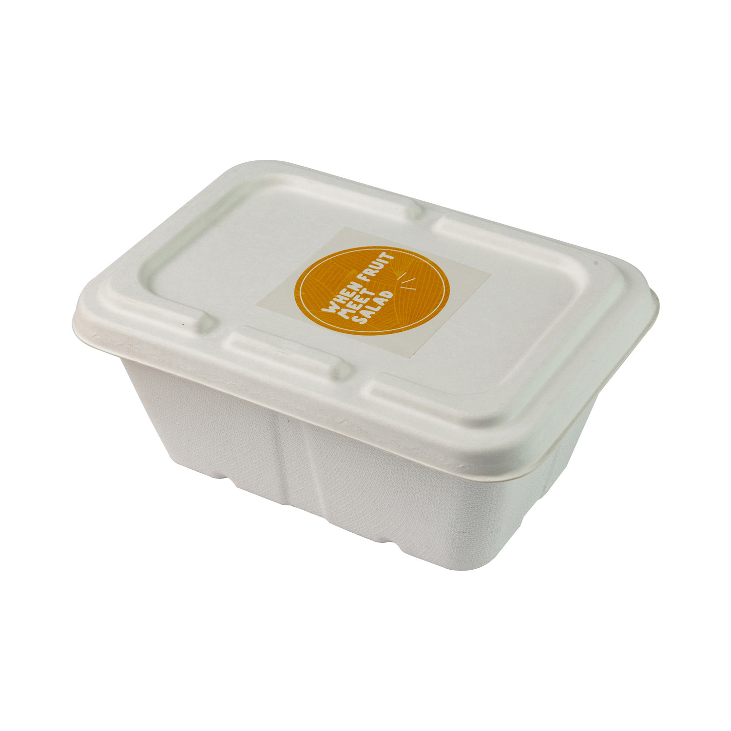 Biodegradable Paper Pulp Lunch Container, Sugarcane Bagasse Food Container, Disposable Tableware