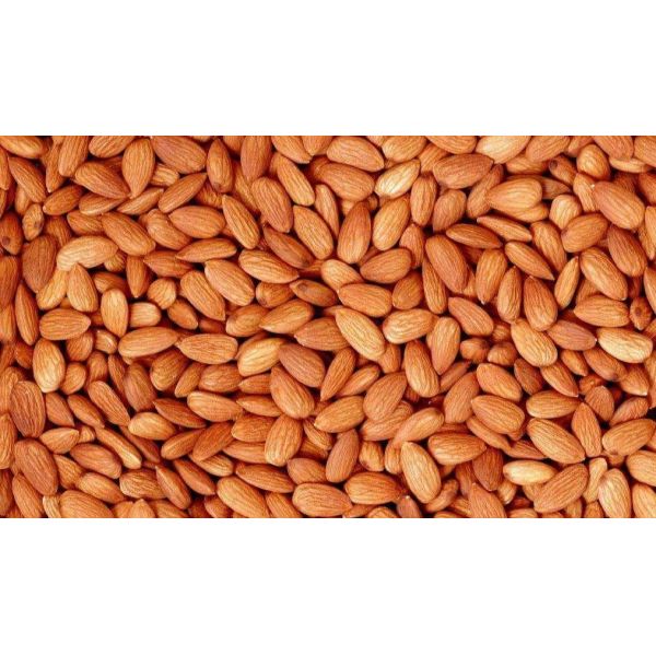 A Cost‑effective AI Optical Sorting Solution Purpose‑built For Almonds, Featuring Self‑developed Algorithms That Continuously Optimize Performance For