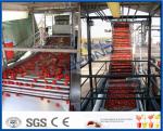 Tomato Paste Industry Tomato Processing Line With Tomato ketchup Making Machine
