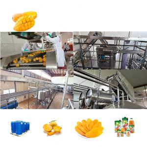 China 10T/H 440V Mango Puree Processing Line Flexible Operation Support wholesale