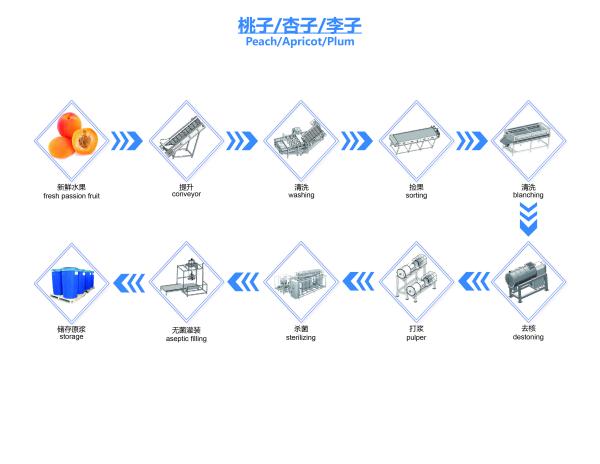 Quality Prune NFC Juice Production Line Prune Juice Processing Line SUS304 for sale