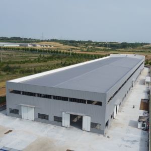 Custom Prefabricated Steel Structure Building for Industrial Use