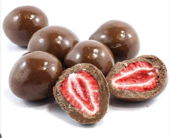 Small Chocolate Enrober Machine for Pet Food Coating
