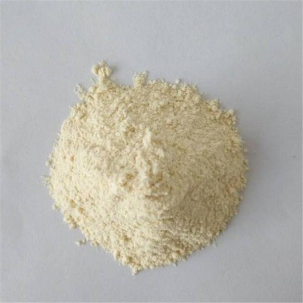 best selling 60% garcinia cambogia extract for capsule