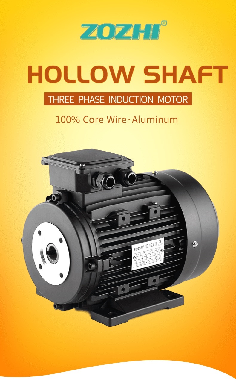 hollow shaft electric motor
