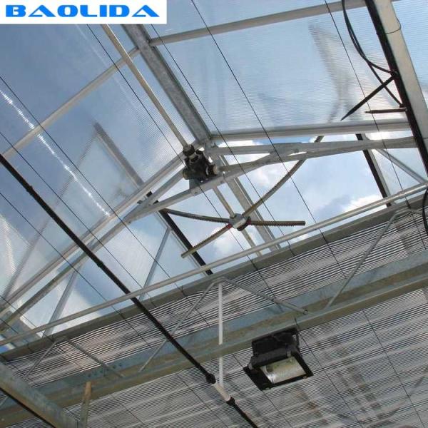 Agricultural Automated Plastic Tunnel Greenhouse Agriculture Tomato Growth